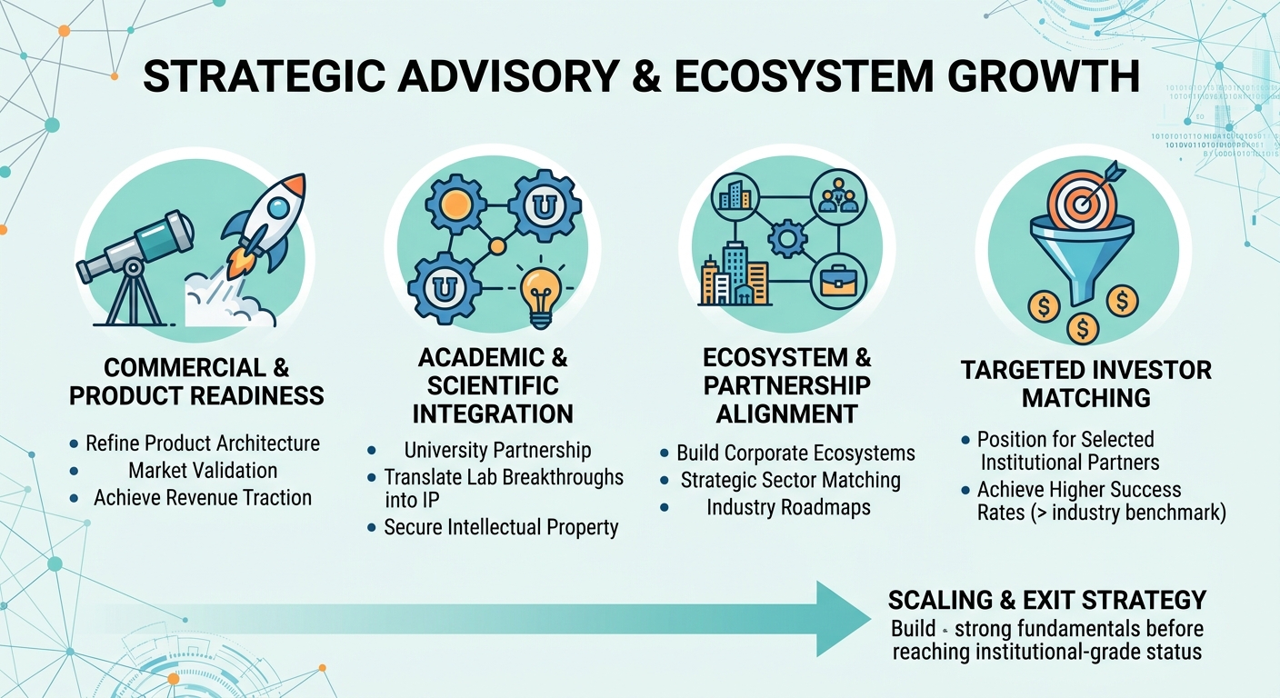 Strategic Advisory Beyond Traditional Venture Capital for Scale-Ups and Research Spin-Outs Croatia